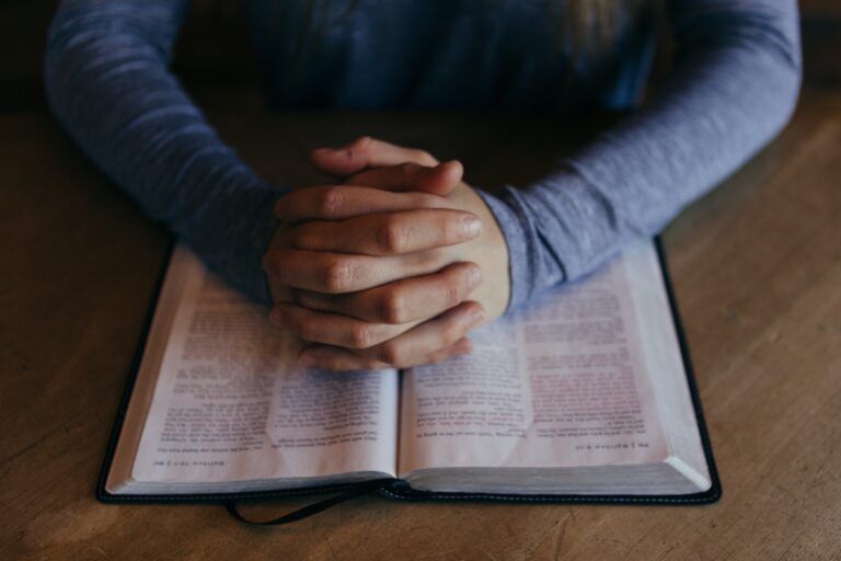 bible verses on widows and orphans